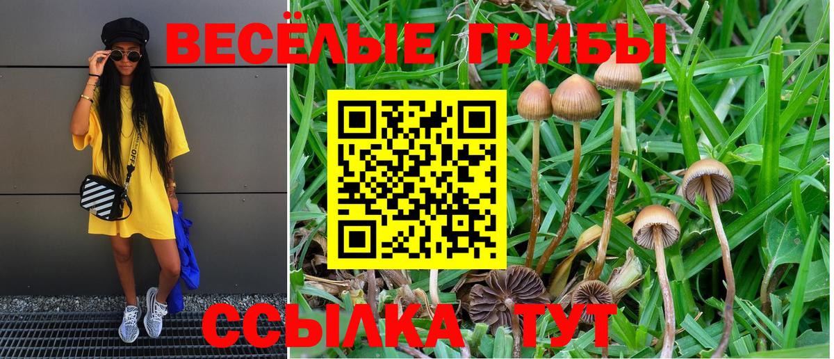 Кувандык  Псилоцибиновые грибы мицелий  Галлюциногенные грибы Cubensis  Вход с VPN 
